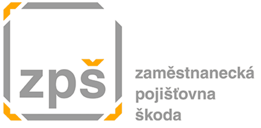 ZPMV